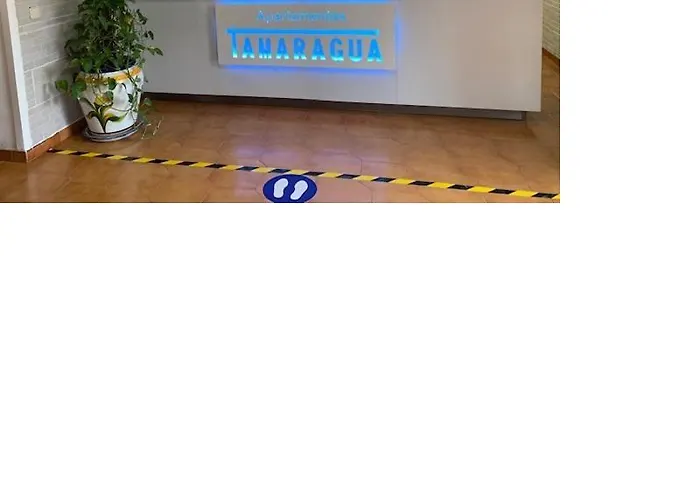 アパルタメントス タマラグア アパート